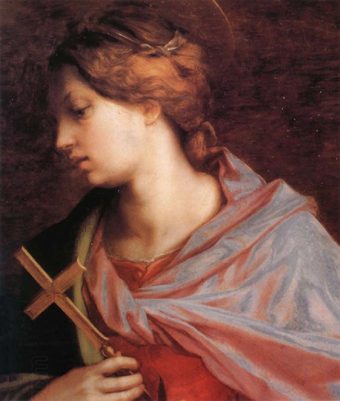Andrea del Sarto Portrait of Altar China oil painting art